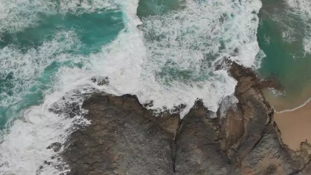 Test video